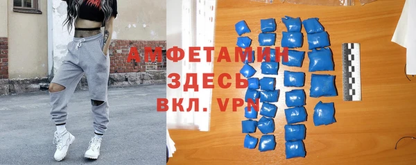 ALPHA PVP Инсар