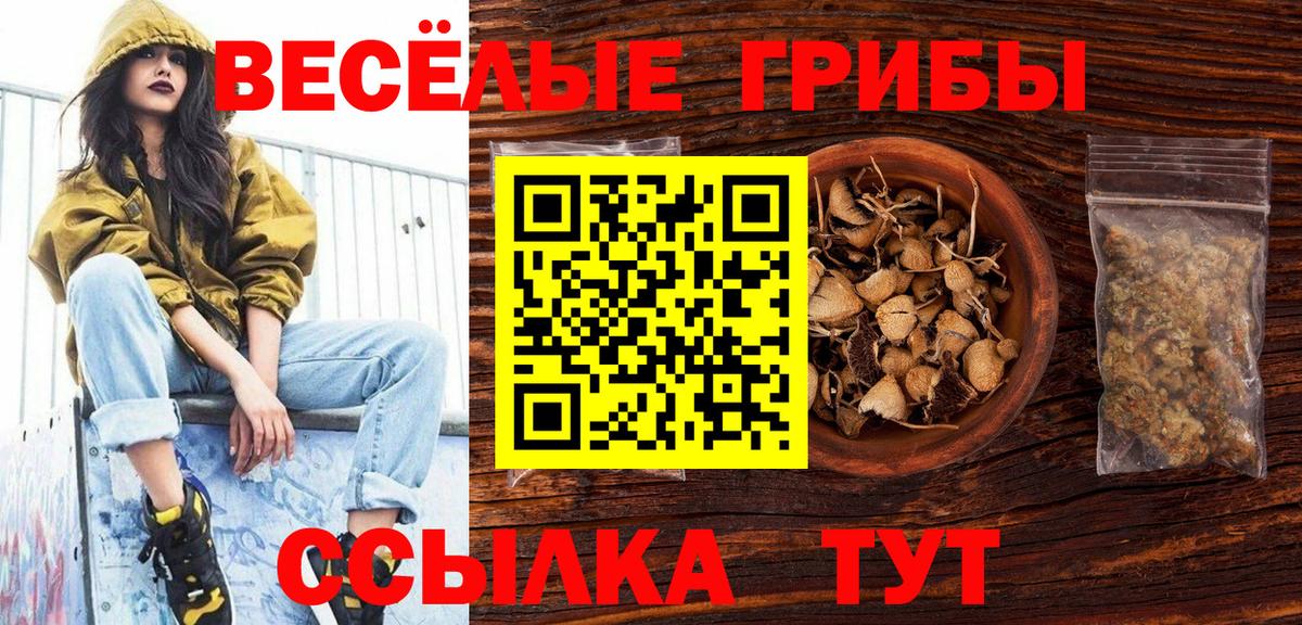 Псилоцибиновые грибы Psilocybe Люберцы