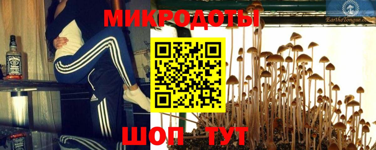 Псилоцибиновые грибы MAGIC MUSHROOMS  где найти наркотики  Люберцы  Вход с VPN 